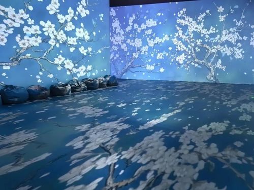Laatste bedrijfskennis over Immersive projection: het openen van een nieuw hoofdstuk in de toekomstvisie