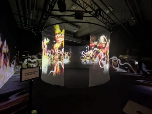 Laatste bedrijfskennis over FLYIN-projector: tijd en ruimte reconstrueren met licht en schaduw, de levens-epos interpreteren van "een blik voor een dag"